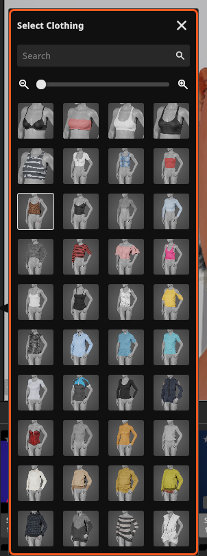 衣物选择器:缩略图网格,标题为英文 Select Clothing,右上角是关闭按钮